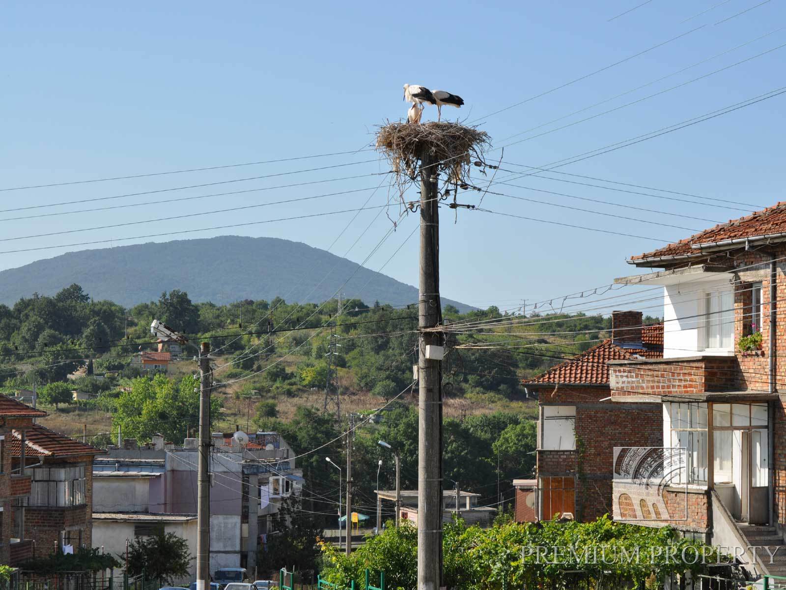 Недвижимость в Болгарии: комплекс Милена 2 фото 